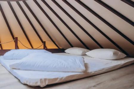 Yurt-resort - 12
