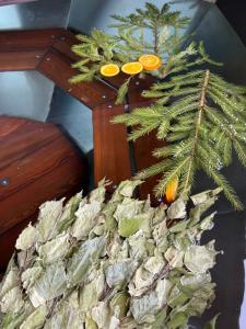 Два Бусла - 31