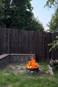 Два Бусла - 37