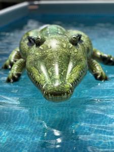 Два Бусла - 48