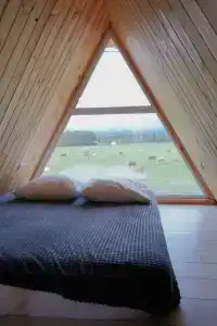 Глэмпинг Место Силы Баян Талаа - 81