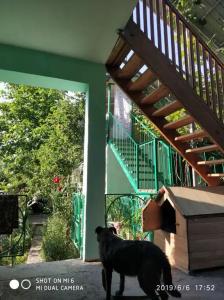 Достоевского - 9