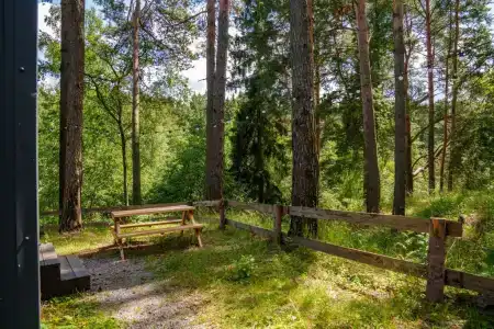 Лесной Привал - 119