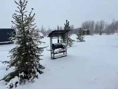 Второе дыхание - 79