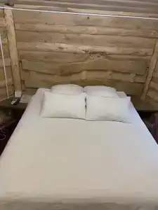 Вишня - 57