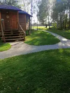 Вишня - 66