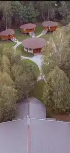 Вишня - 44