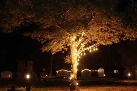 Кривец Хаус - 93