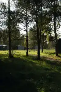 Кривец Хаус - 132