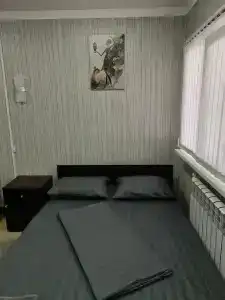 Оазис - 29