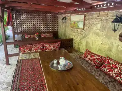 Виноградная Лоза - 3