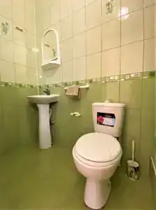Виноградная Лоза - 28
