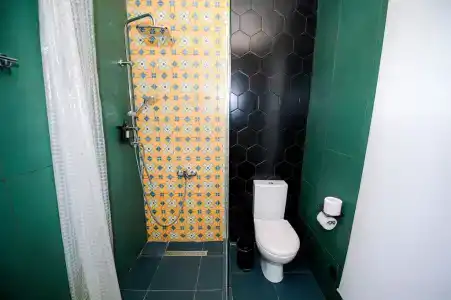 Дикая Мята - 280