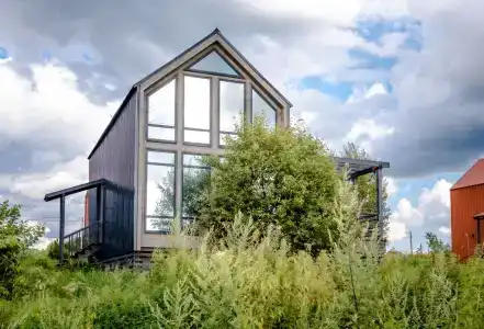 Дикая Мята - 285