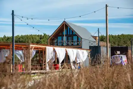 Дикая Мята - 289