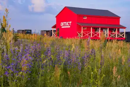 Дикая Мята - 290