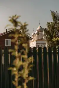 Гости Ростов - 120