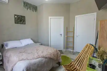 Папоротник - 19