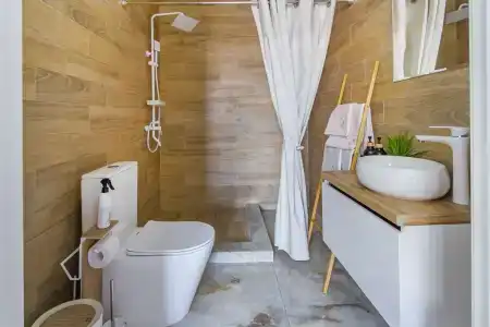 Папоротник - 21