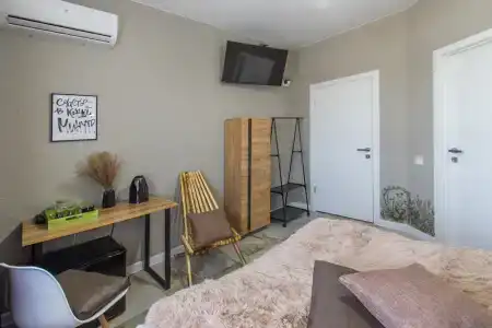 Папоротник - 23