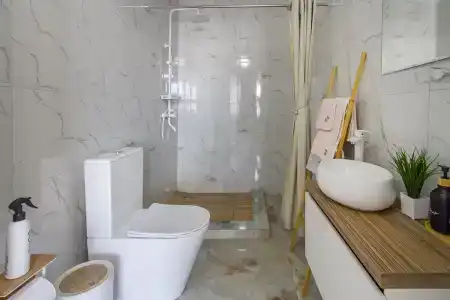 Папоротник - 24