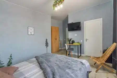 Папоротник - 29