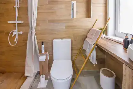 Папоротник - 31