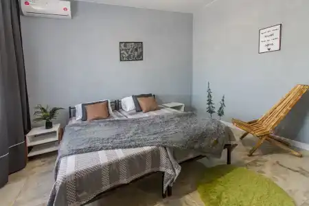 Папоротник - 32