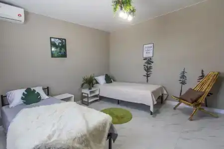 Папоротник - 33