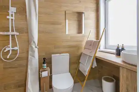 Папоротник - 35