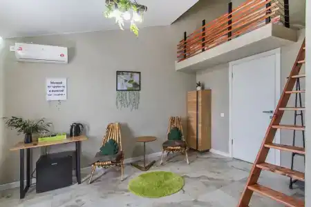 Папоротник - 39