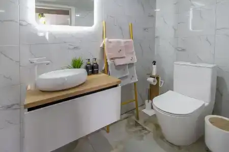 Папоротник - 41