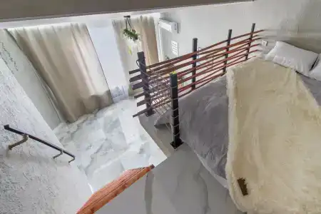 Папоротник - 44