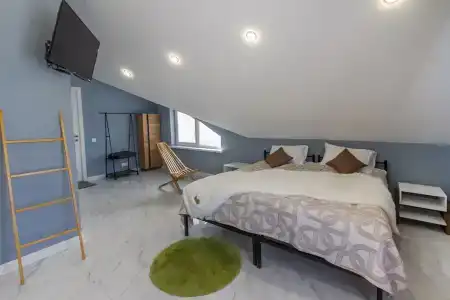 Папоротник - 48