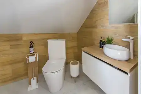 Папоротник - 50