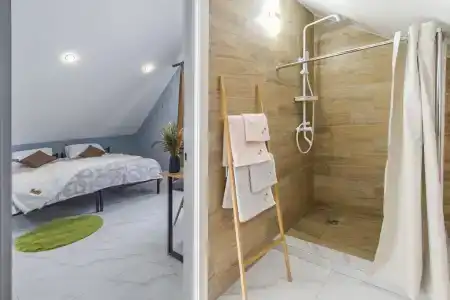 Папоротник - 51