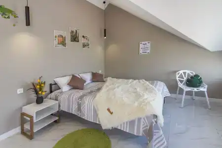 Папоротник - 56