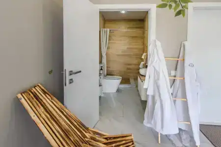 Папоротник - 57