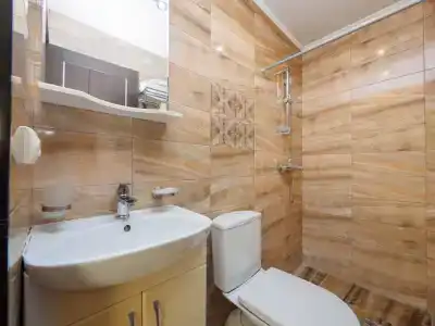 Виноград - 106