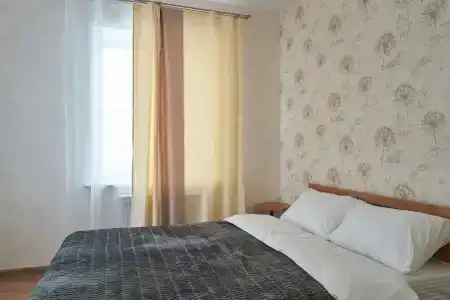 Гости Ростов - 217