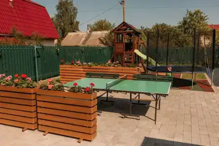 Гости Ростов - 337
