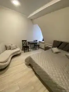 Менделеев - 26