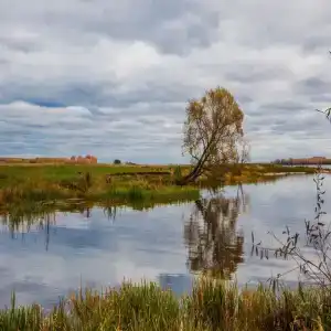 Хаски Хаус - 47