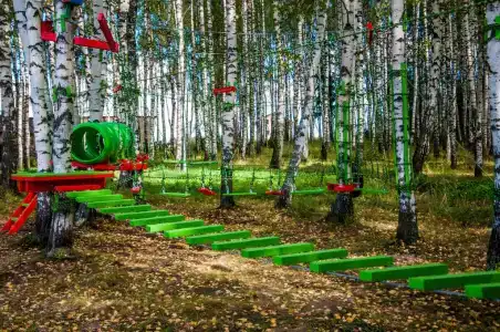 Хаски Хаус - 60