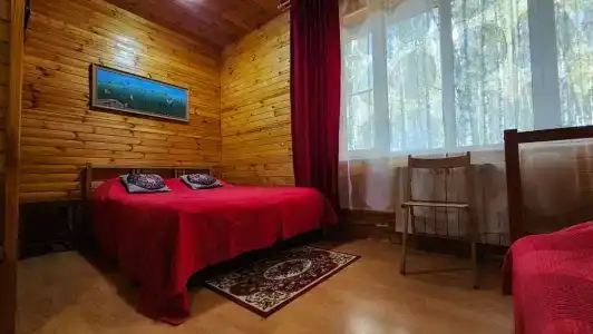 Хаски Хаус - 65