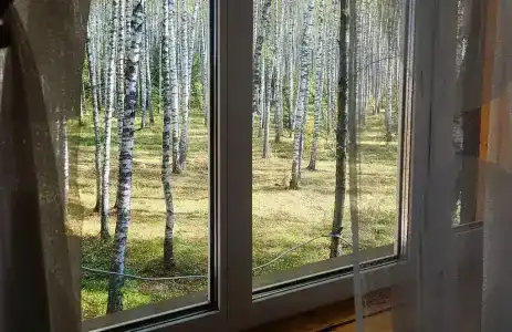 Хаски Хаус - 66