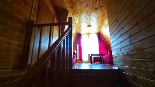 Хаски Хаус - 100