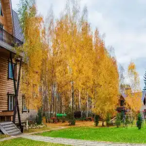 Хаски Хаус - 184