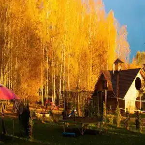 Хаски Хаус - 185