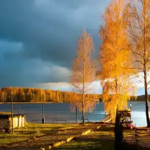 Хаски Хаус - 188